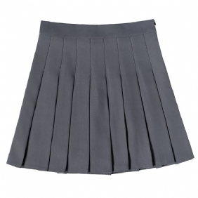 2024 Hoge Taille Rok Plooirok