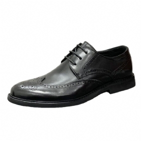 Brogue Schoenen Derby Herenschoenen 2024 High-end Zakelijke Formele Kleding Heren Huwelijksfotografie Vee