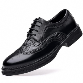 Brogue Schoenen Heren Lederen Zakelijke Formele Jurk Gesneden Veter Ademend Trendy Oxford