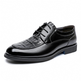 Echt Lederen Herenschoenen Koeienhuid Lente En Herfst Nieuwe Formele Jurk Bruiloft Bruidegom Schoenen High-end Heren Business Casual Kleding