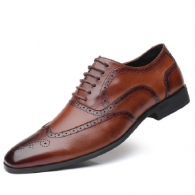 Grote Maat Geklede Schoenen Heren 47 48 45 46 Zakelijke Brogue Zomer Casual Leer