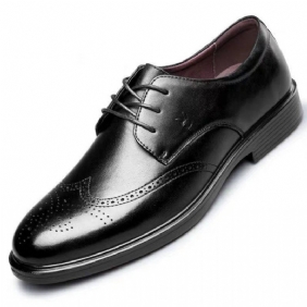 Herenschoenen 2024 Zomer Business Dress Schoenen Gesneden Brogue Jeugd Verhoogd