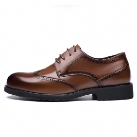 Lente Nieuwe Herenkleding Schoenen Echt Leer Koeienhuid Business Casual Brogue Gesneden Herenschoenen