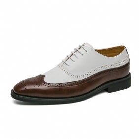 Spring Fashion Colour Block Oxford Dress Schoenen Brogue Formele Kleding Mannen Plus Size Room Lace Up Herenschoenen