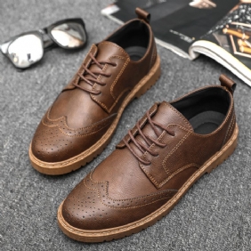 Vrijetijdsschoenen Heren Lente Nieuwe Brogue Schoenen Herenschoenen Retro Sneakers Trend Tooling