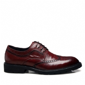 Brogue Schoenen Herenschoenen Nette Heren Herfst Leer Trend Wijnrood Casual Business Geklede