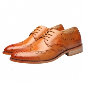 Grote Maat 45 Business Herenschoenen 46 Lente En Herfst Nieuwe Brogue Schoenen Gesneden Spitse Neus Casual Kleding Mannen