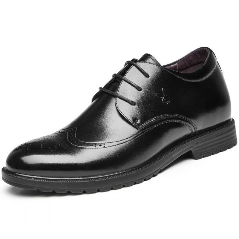 Herenschoenen 2024 Zomer Business Dress Schoenen Gesneden Brogue Jeugd Verhoogd