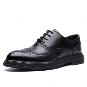 Herenschoenen Leer Gesneden Kledingschoenen Heren Trendy Casual Schoenen Ademende Brogue 4019