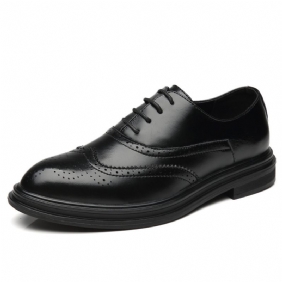 Herfst Heren Geklede Schoenen Spitse Neus Brogue Trend Jeugd Business Casual