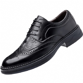 Kledingschoenen Brogue-schoenen Voor Heren Casual Trend Zakelijke Formele Kleding Gesneden Jeugdpak Trouwschoenen Krokodillenpatroon Herenschoenen