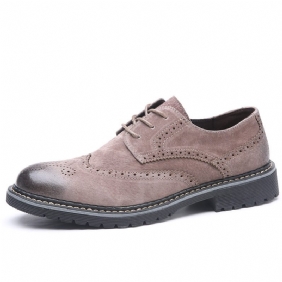 Lente En Herfst Brogue Schoenen Heren Lederen Zakelijke Geklede Retro Spitse Neus Trend