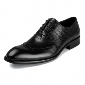 Leren Oxford-schoenen Voor Heren Brogue-schoenen Gesneden Herenschoenen Zakelijke Geklede Schoenen Professionele