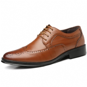 Nieuwe Lente Schoenen Heren Grote Maat Pak Brogue Jurk Kant Ademende Casual Herenschoenen