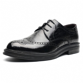 Voorjaar 2024 High-end Geklede Schoenen Heren Lederen Business Brogue Gesneden Trendy Bruidegom Trouwschoenen