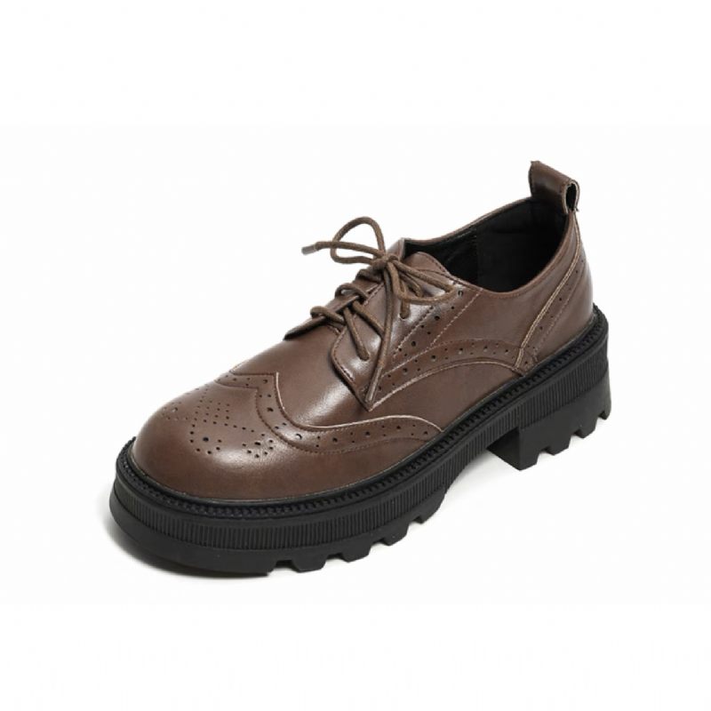 Geklede Schoenen Dames 2024 Lente En Zomer Nieuwe Retro Brogue Casual Loafers Met Dikke Zolen