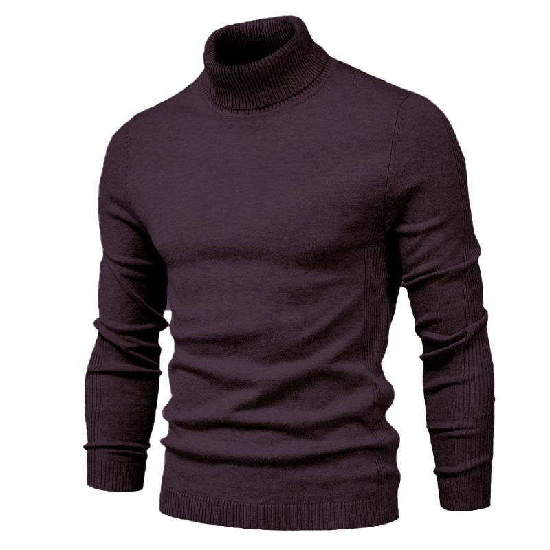 Casual Herentrui Effen Kleur Pullover Coltrui Knitwear