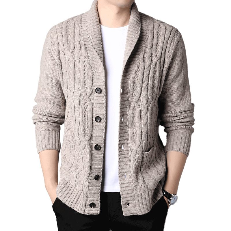 Heren Gebreide Cardigan Jacquard Effen Kleur Jas