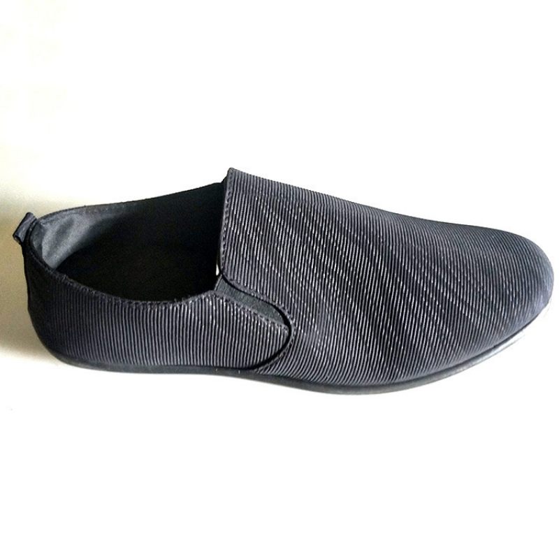 2024 Lente Herenschoenen Nieuwe Stijl Comfortabele Slip-on Casual Schoenen Heren Peas