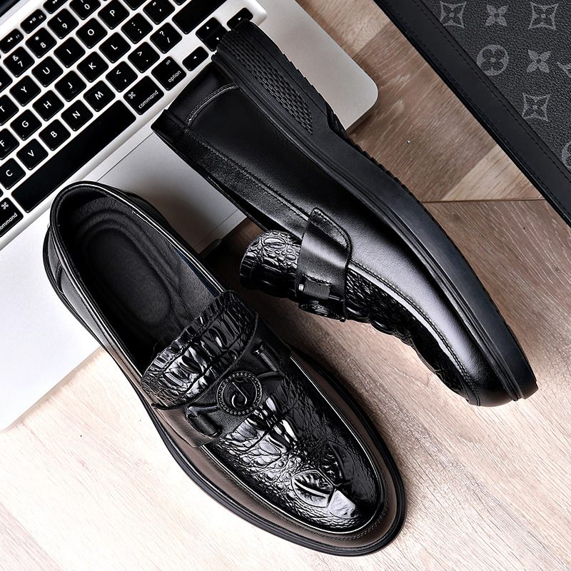 2024 Nieuwe Krokodillenpatroon Casual Herenschoenen Lederen Slip-on Voet Loafers Business Doudou Schoenen