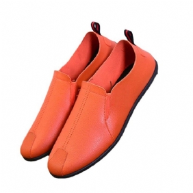 Herenschoenen 2024 Nieuwe Heren Casual Schoenen Laag Uitgesneden Erwten Zachte Platte Geklede Slip-on