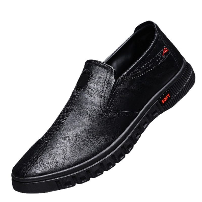 Lente Nieuwe 2024 Casual Kleding Schoenen Zachte Bodem Slip-on Herenschoenen Geklede Doudou