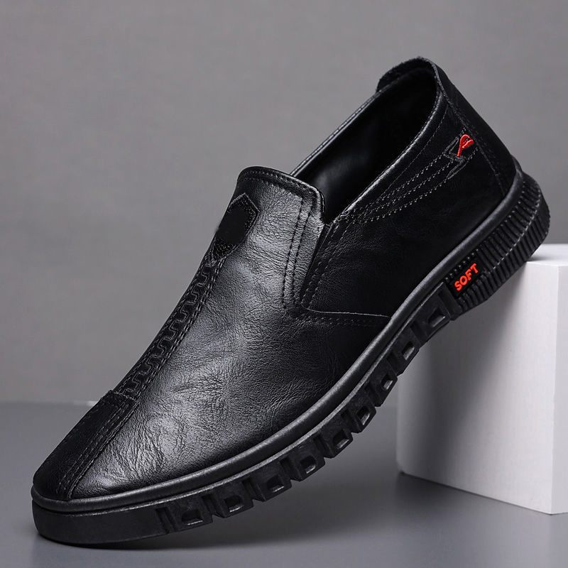 Lente Nieuwe 2024 Casual Kleding Schoenen Zachte Bodem Slip-on Herenschoenen Geklede Doudou