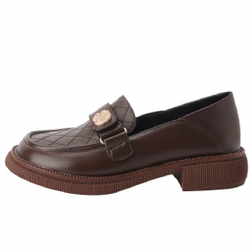 Loafers Met Dikke Zolen Dames 2024 Nieuwe Geklede Schoenen Retro Platte Met Hakken