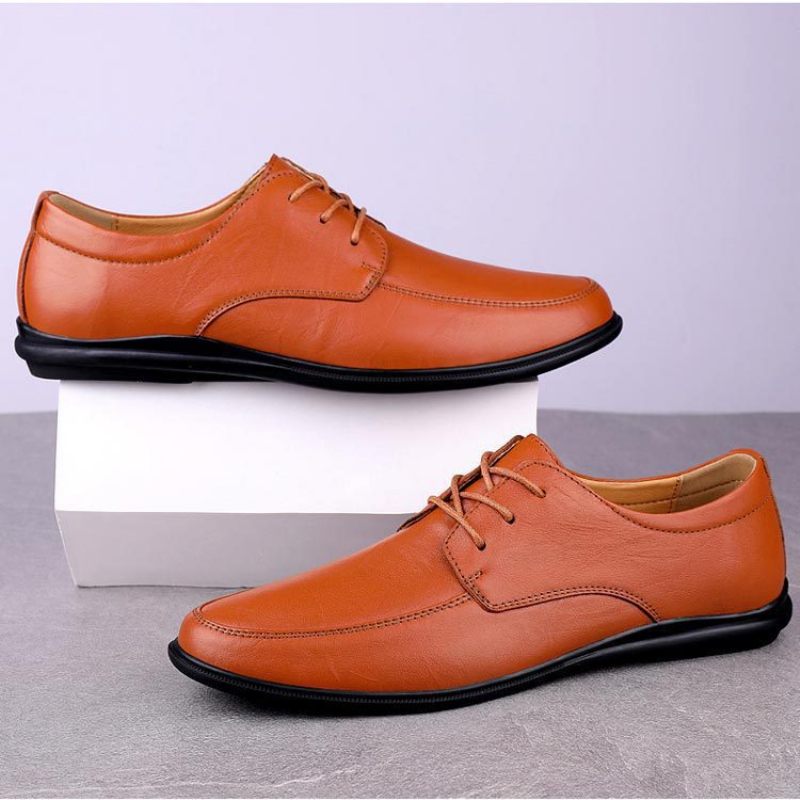 2024 Lente Nieuwe Heren Dress Schoenen Zachte Zolen Lace-up Zakelijke Mannen Doudou Casual