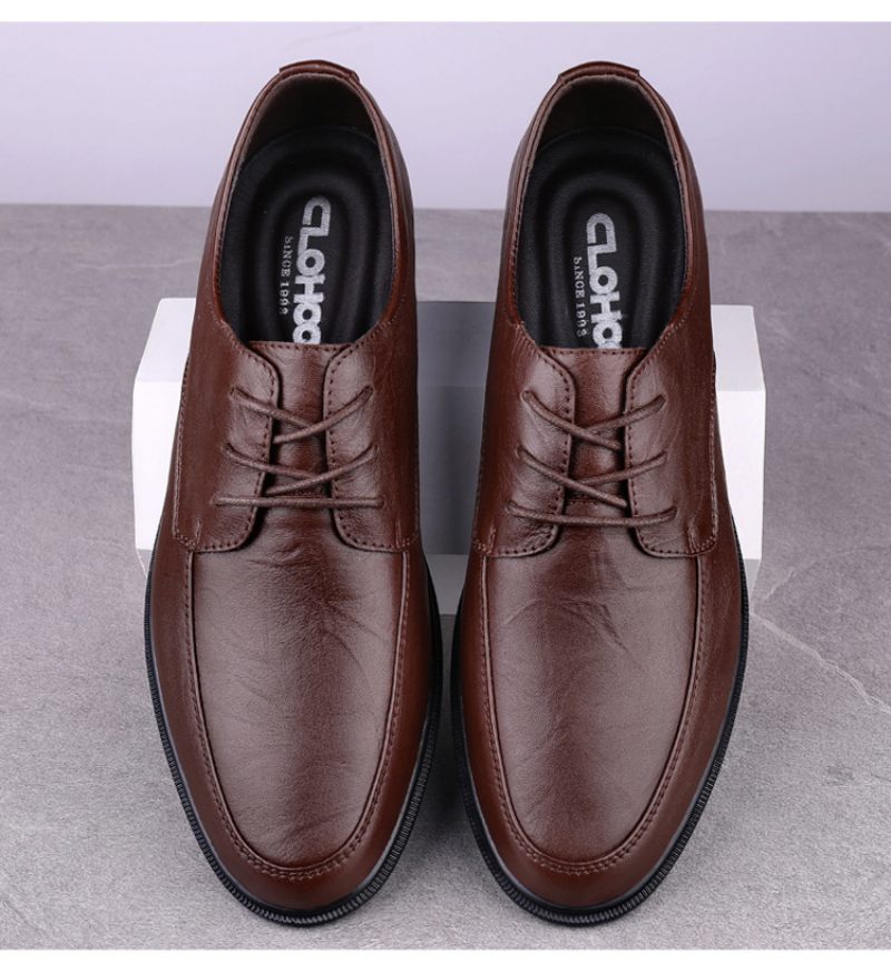 2024 Lente Nieuwe Heren Dress Schoenen Zachte Zolen Lace-up Zakelijke Mannen Doudou Casual