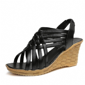 Sandalen Met Dikke Zolen Dames Zomer Wig Nieuwe Vis Mond Mode Damesschoenen Platform Bodem Temperament Schoenen Met Hoge Hakken